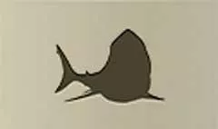 サメのシルエット