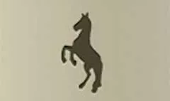 野生馬のシルエット