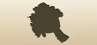 Bouquet silhouette