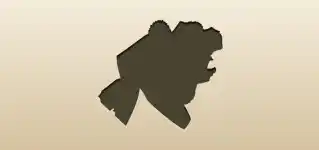 Bouquet silhouette