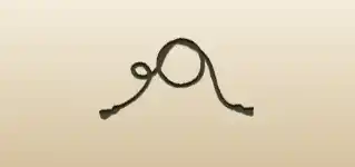 Lasso silhouette