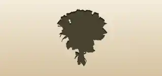 Bouquet silhouette
