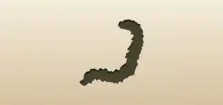 Feather Boa silhouette