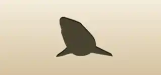 Shark silhouette