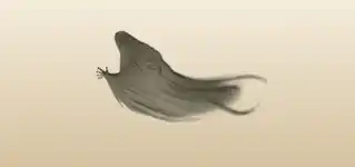 Ghost silhouette