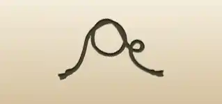 Lasso silhouette