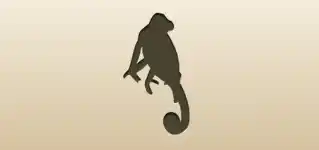 Chameleon silhouette