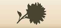 Sunflower silhouette