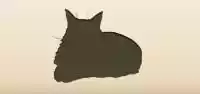 ネコ