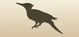 Woodpecker