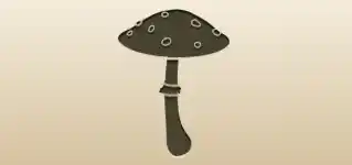 Fly Agaric Mushroom