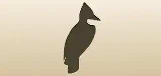 Woodpecker