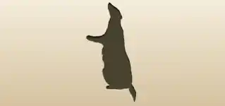 Badger