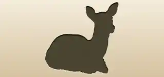 Roe Deer