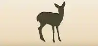Roe Deer
