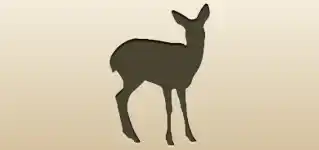 Roe Deer