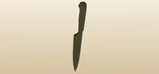 Knife