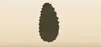 Pinecone