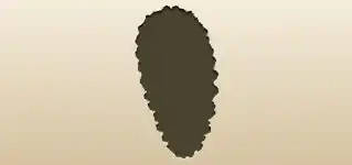 Pinecone