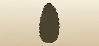 Pinecone