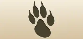 Paw Print