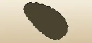 Pinecone