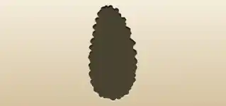 Pinecone