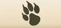 Paw Print
