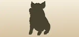 Boar