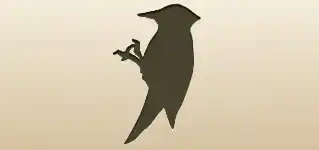 Woodpecker
