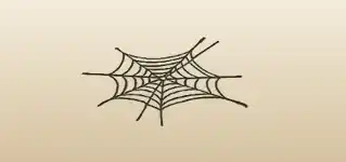 Spider Web