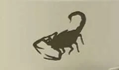 サソリ