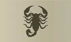 Scorpion silhouette