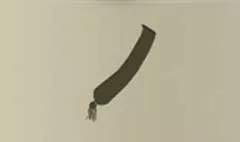 懸章