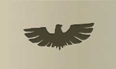Eagle silhouette
