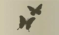 Butterflies silhouette