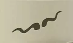 角