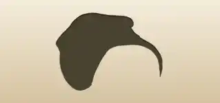 アカエイのシルエット