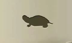 カメのシルエット