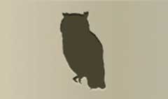 Owl silhouette