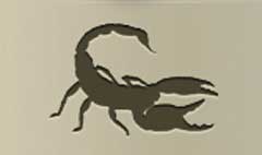 Scorpio silhouette