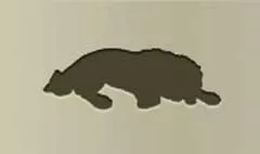 獅子座のシルエット