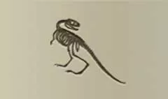 骸骨のシルエット