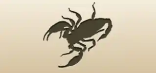 Scorpio silhouette
