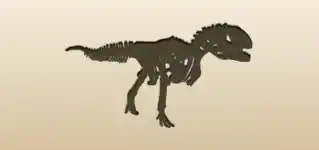 Skeleton silhouette