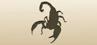 Scorpio silhouette