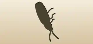 Firefly silhouette
