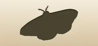 Moth silhouette