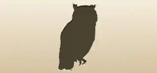 Owl silhouette