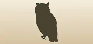 Owl silhouette